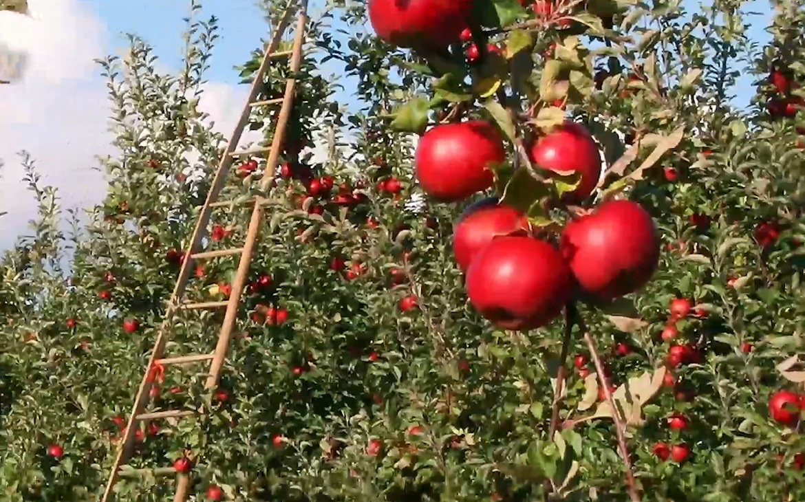 Tabiyatı korumak